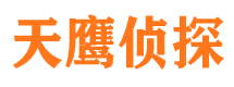 阳新侦探公司